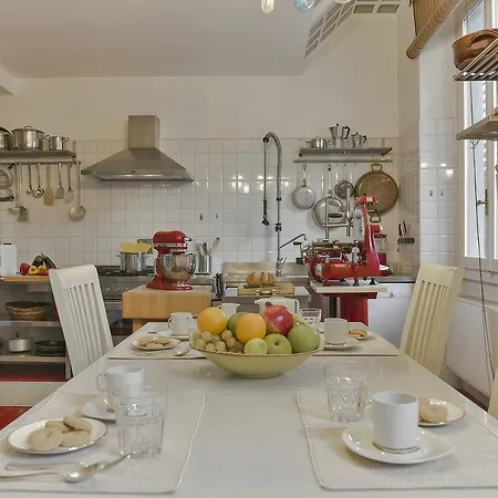 An Amazing In Oltrarno Apartamento