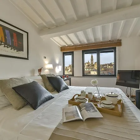 Appartement An Amazing In Oltrarno Florence